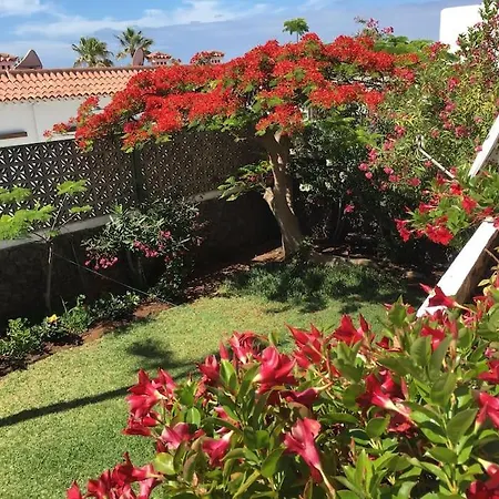 5bedroom,heated Pool,garden,100m Ocean 8 To 11p Costa Del Silencio